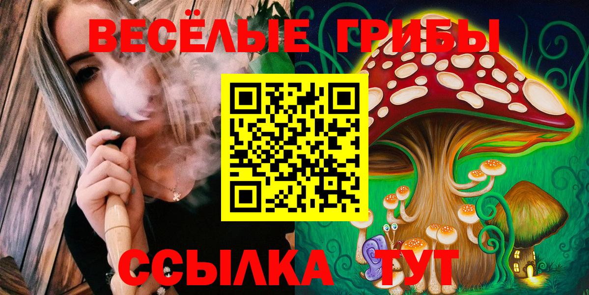 Псилоцибиновые грибы Psilocybine cubensis  Вход с VPN  Качканар 