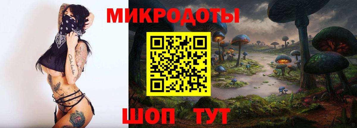 Галлюциногенные грибы MAGIC MUSHROOMS Качканар